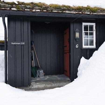 Bitigrenda G Villa Beitostolen Exteriör bild