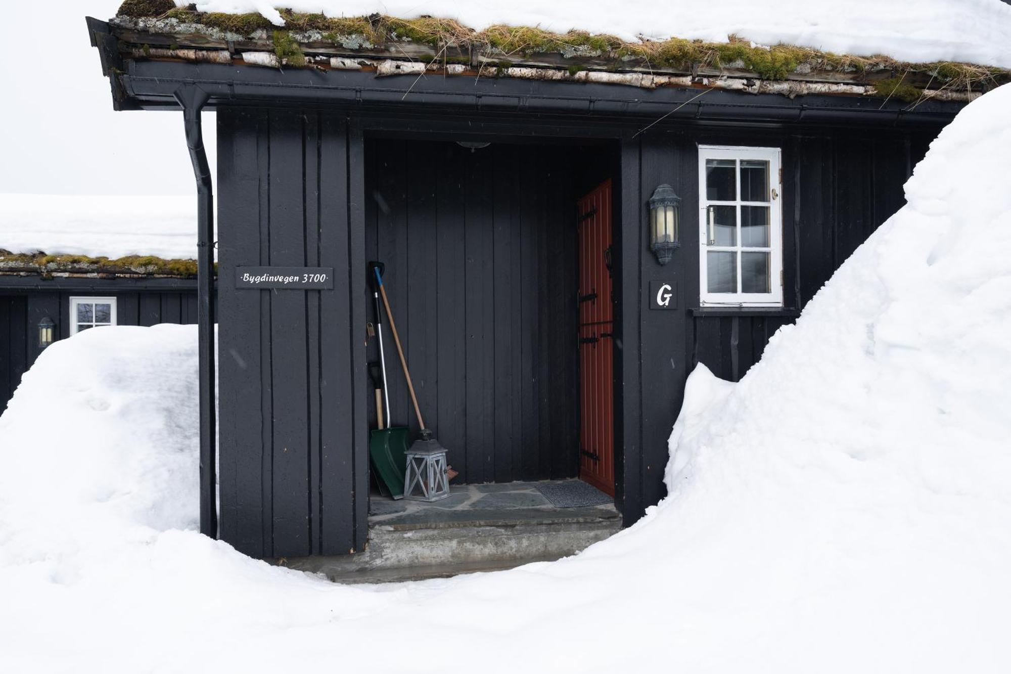 Bitigrenda G Villa Beitostolen Exteriör bild